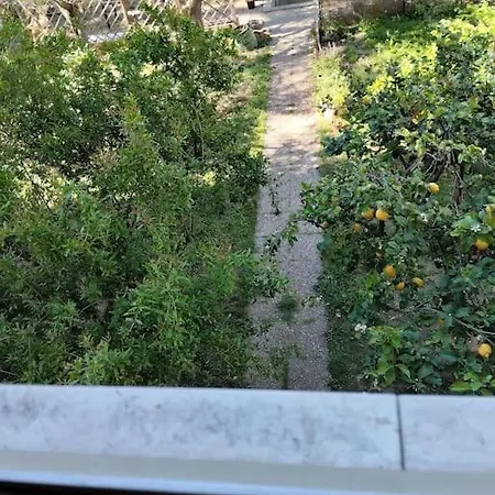 Little Beach House דירה